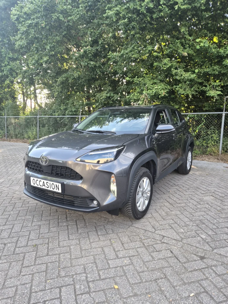 Grijze auto geparkeerd op een stenen parkeerplaats naast een groene haag.