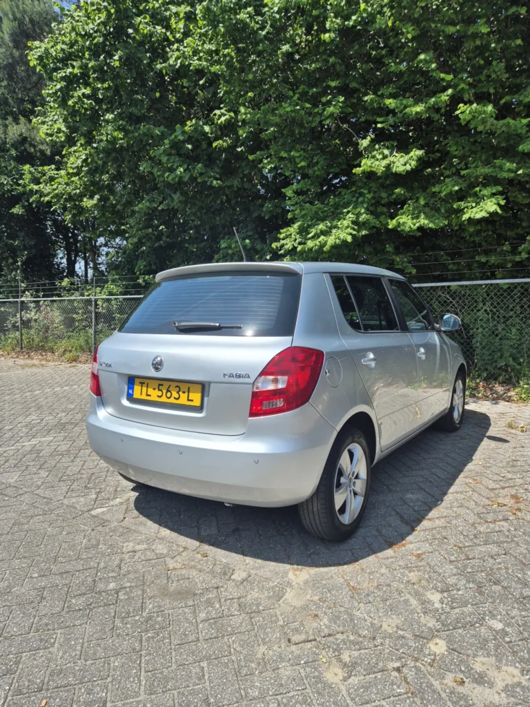 Zilverkleurige auto geparkeerd op een stenen parkeerplaats naast een groene heg.